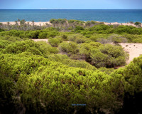 Sale - Apartment / flat - Guardamar del Segura