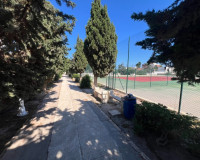 Sale - Apartment / flat - La Mata