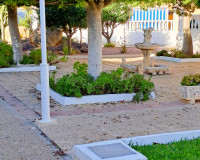 Sale - Apartment / flat - La Mata