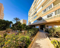 Sale - Apartment / flat - La Mata