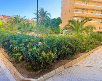 Sale - Apartment / flat - La Mata