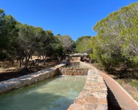 Sale - Apartment / flat - La Mata