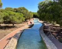 Sale - Apartment / flat - La Mata