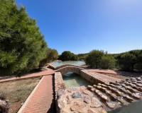 Sale - Apartment / flat - La Mata