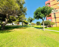 Sale - Apartment / flat - Torrevieja - La Mata