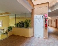 Sale - Apartment / flat - Torrevieja - TORREVIEJA