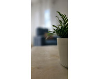 Sale - Apartment / flat - Torrevieja - TORREVIEJA