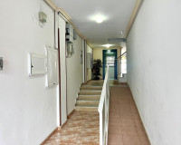 Sale - Apartment / flat - Torrevieja - TORREVIEJA