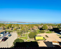 Sale - Apartment / flat - Torrevieja - TORREVIEJA