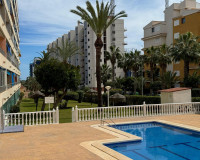 Sale - Apartment / flat - Torrevieja - TORREVIEJA