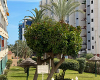 Sale - Apartment / flat - Torrevieja - TORREVIEJA