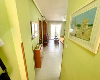 Sale - Apartment / flat - Torrevieja - TORREVIEJA