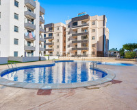 Sale - Apartments - San Miguel de Salinas - San Miguel
