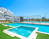 Sale - Apartments - Torre Pacheco