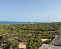 Sale - Ático Dúplex - Guardamar del Segura