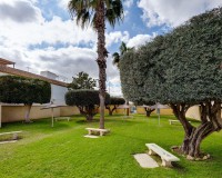 Sale - Bungalow Planta Alta - Torrevieja - TORREVIEJA