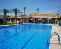 Sale - Bungalow - Torrevieja - TORREVIEJA
