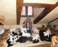 Sale - Casa - Daya Nueva