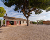 Sale - Chalet - Daya Nueva