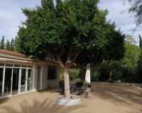 Sale - Country house - Crevillente