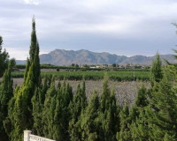 Sale - Country house - Crevillente