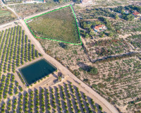 Sale - Country house - Crevillente