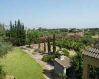 Sale - Country house - Daya Nueva