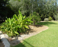 Sale - Country house - Daya Nueva