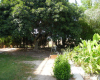 Sale - Country house - Daya Nueva
