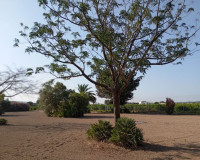 Sale - Country house - Daya Nueva