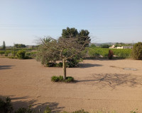 Sale - Country house - Daya Nueva