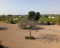 Sale - Country house - Daya Nueva