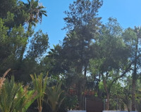 Sale - Country house - Orihuela