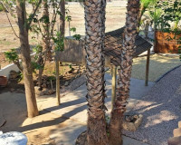 Sale - Country house - Orihuela