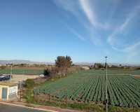 Sale - Duplex apartment - Daya Vieja