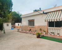 Sale - Finca - Elche Pedanías - Elche/Elx
