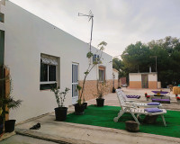 Sale - Finca - Elche Pedanías - Elche/Elx