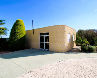 Sale - Finca - Elche Pedanías - Elche/Elx