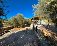 Sale - Finca - Fortuna