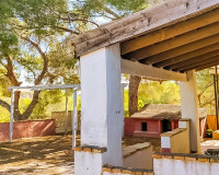 Sale - Finca - Fortuna