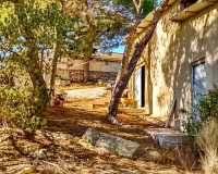 Sale - Finca - Fortuna