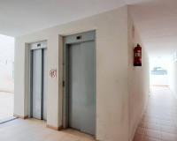 Sale - Penthouse - Almoradi - Centro urbano 2