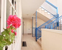 Sale - Penthouse - Almoradi - Centro urbano 2