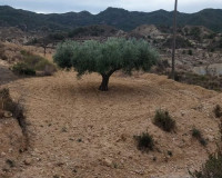 Sale - Plot / Land - Abanilla