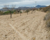 Sale - Plot / Land - Abanilla