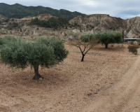 Sale - Plot / Land - Abanilla