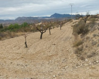 Sale - Plot / Land - Abanilla