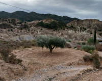 Sale - Plot / Land - Abanilla