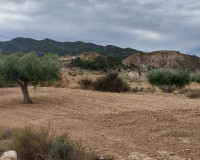 Sale - Plot / Land - Abanilla
