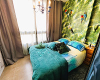 Sale - Study - La Mata